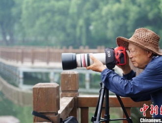 河北邯鄲七旬老人拍鳥類15年 見證滏陽河沿岸生態(tài)改善